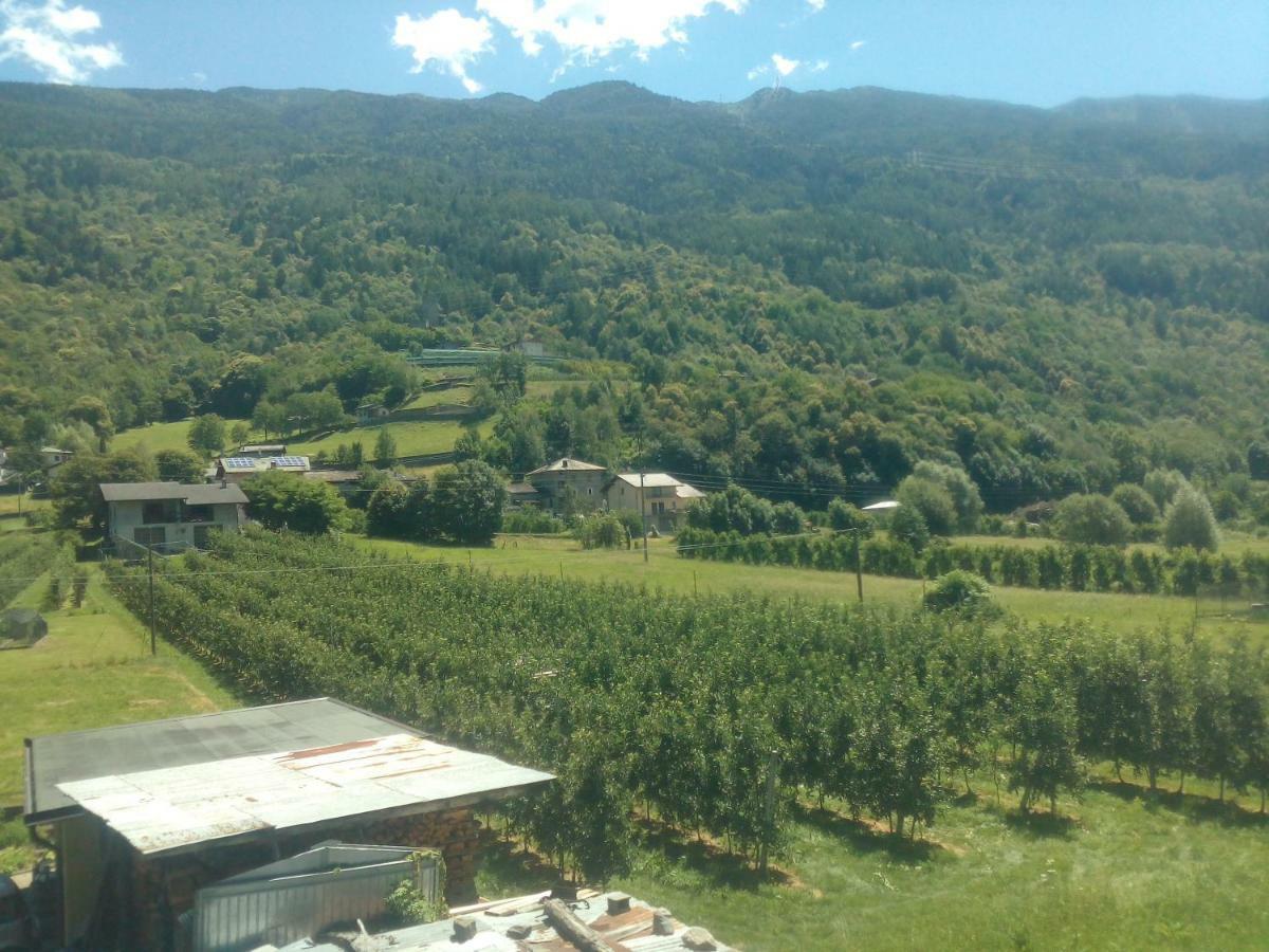 Hotel Free Hugs Mazzo di Valtellina Zewnętrze zdjęcie